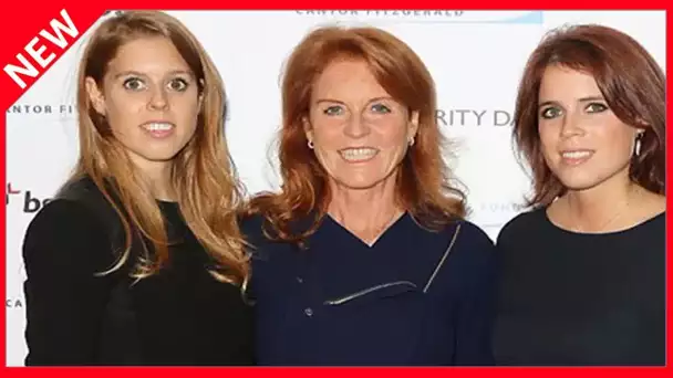 ✅  Sarah Ferguson décomplexée par Meghan et Harry : elle fait sa pub sur les réseaux sociaux !