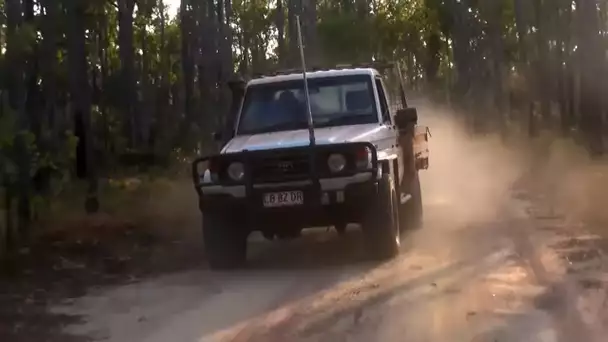 Le code de la route version Yolgnu en Australie