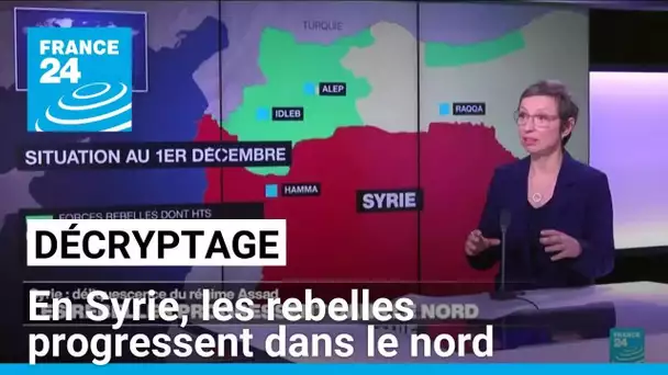 Offensive des rebelles en Syrie : la crainte d'une reprise des combats à grande échelle