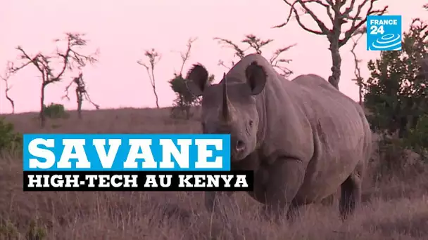 Au Kenya, la high tech au service de la protection des animaux