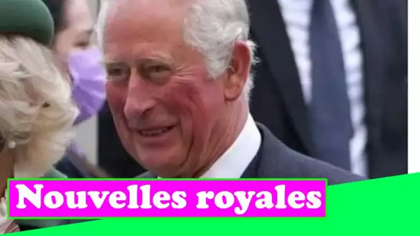 Le prince Charles dévoile la « future » gamme de la famille royale alors que des plans allégés sont