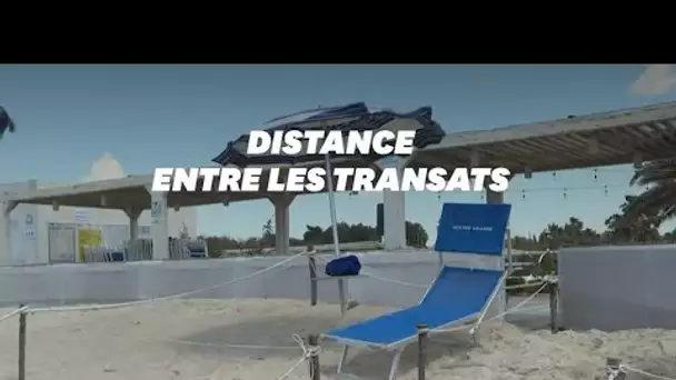 Cet été, la plage de vos vacances pourrait ressembler à ça