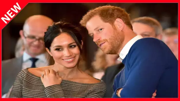 ✅  Meghan Markle conduit à la ruine une célèbre agence de paparazzi