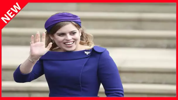 ✅  Princesse Beatrice : après 4 mois de silence, elle fait son retour sur Twitter