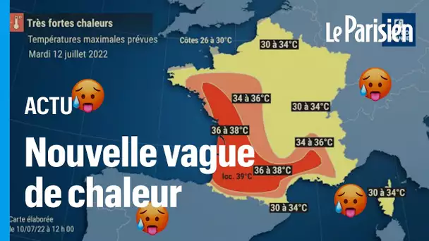 La vague de chaleur « pourrait durer entre huit et dix jours », alerte Météo France