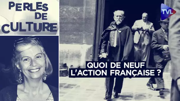 Quoi de neuf l'Action française ? - Perles de Culture n°337 - TVL