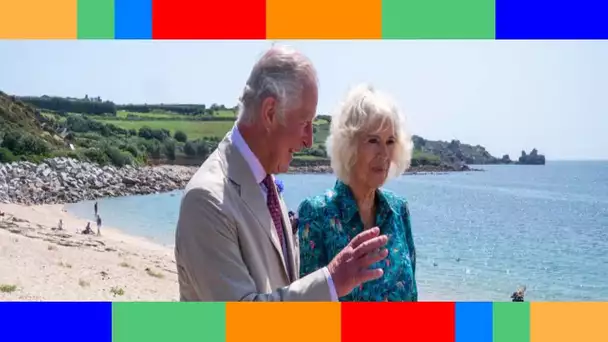 Prince Charles et Camilla  leur fils caché a encore frappé