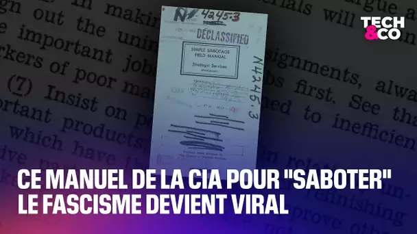 Ce manuel déclassifié par la CIA pour "saboter" le fascisme devient viral sur internet