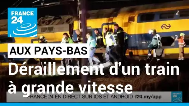 Déraillement d'un train aux Pays-Bas : un mort et plusieurs dizaines de blessés • FRANCE 24