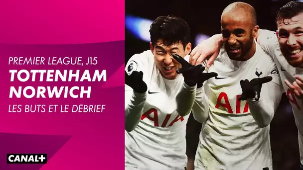 Tottenham / Norwich : Les buts et le débrief - Premier League (J15)