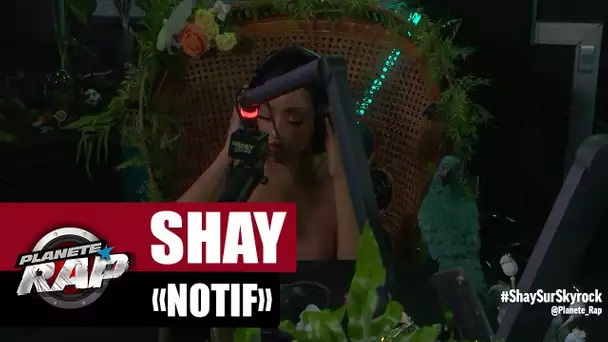 Shay "Notif" (Version Acoustique) #PlanèteRap