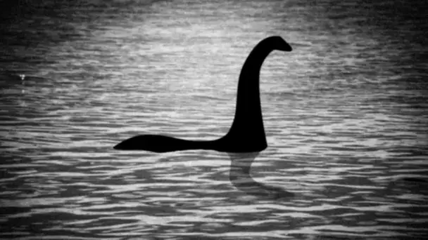 Monstre du Loch Ness : une traque inédite est lancée pour élucider le mystère