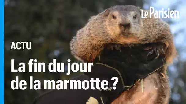 Phil, la célèbre marmotte météorologue de Punxsutawney remplacée par un gâteau vegan ?