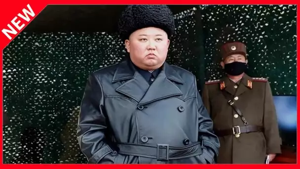 ✅  Kim Jong-un exfiltré de son pensionnat suisse pour une raison très embarrassante