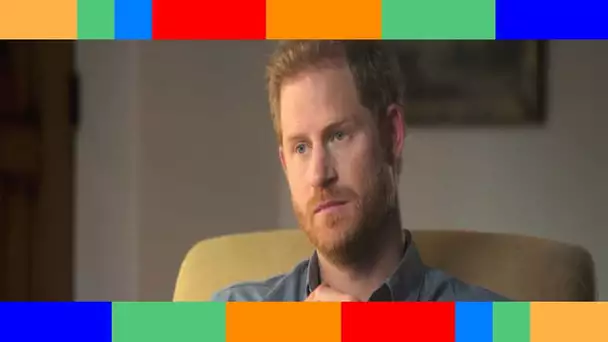 👑  Prince Harry : cette énorme facture qui lui pend au nez