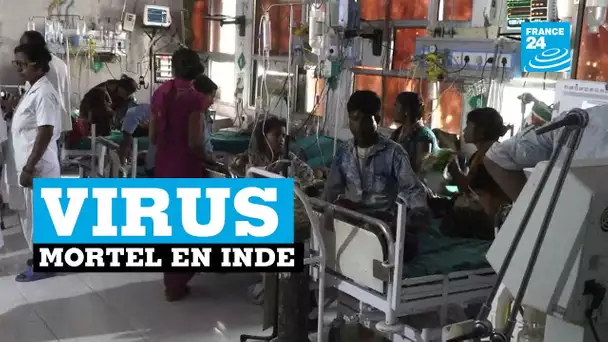 Inde, virus mortel