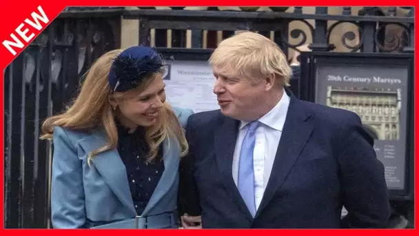 ✅  Boris Johnson papa : la date de conception de son fils intrigue la presse anglaise