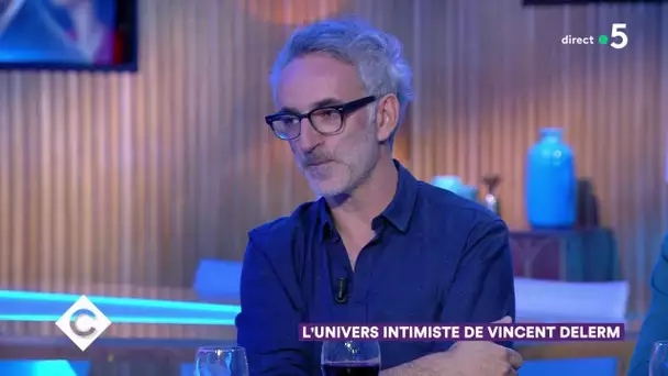 L’univers intimiste de Vincent Delerm - C à Vous - 16/10/2019