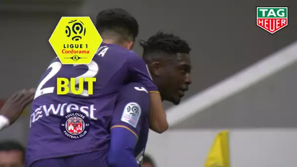 But Yaya SANOGO (20&#039;) / Toulouse FC - EA Guingamp (1-0)  (TFC-EAG)/ 2018-19