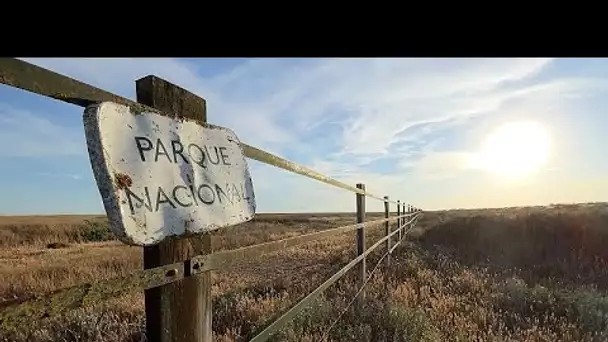 La crise climatique met en péril l'agriculture à Doñana, joyau menacé du sud de l'Espagne