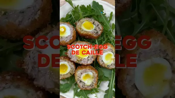 Scotch Egg de Caille : la #recette #toulouse #tradition #occitanie