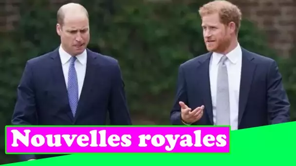 Le prince Harry essaie de « réparer les ponts » avec William alors que Duke a une « réalisation regr