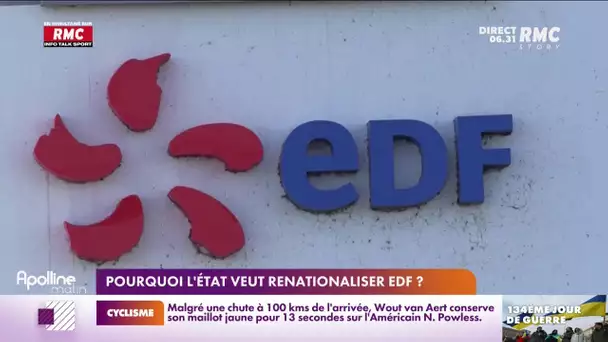 Énergie : pourquoi l'État veut renationaliser EDF ?