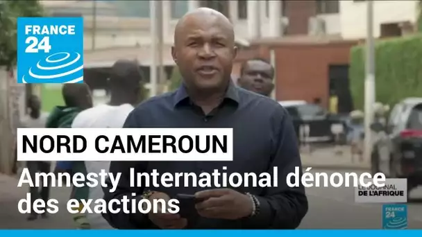 Nord Cameroun : Amnesty International dénonce des exactions des deux camps • FRANCE 24