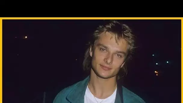 Ces "jolis mots", comme il les décrit, ont fait chaud au cœur à David Hallyday