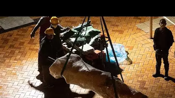 Une statue à la mémoire de Tiananmen a été retirée de l'Université de Hong Kong