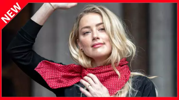 ✅  Procès Johnny Depp : pourquoi Amber Heard porte tous les jours une écharpe rouge