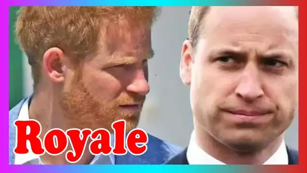 Harry et William'ne sont pas liés'par une faille -'Je viens de bouger dans une direction différente'