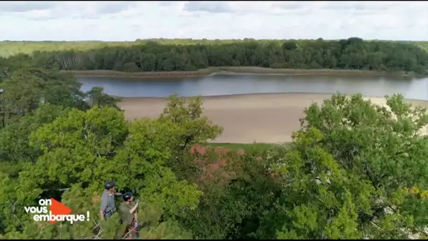 Combreux : la forêt d'Orléans vue d'en haut dans "On vous embarque"