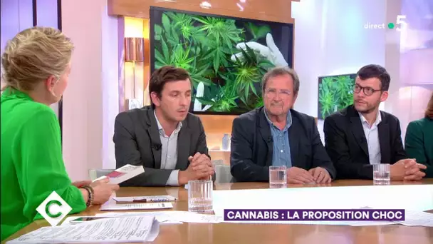 Cannabis : la proposition choc - C à Vous - 20/06/2019