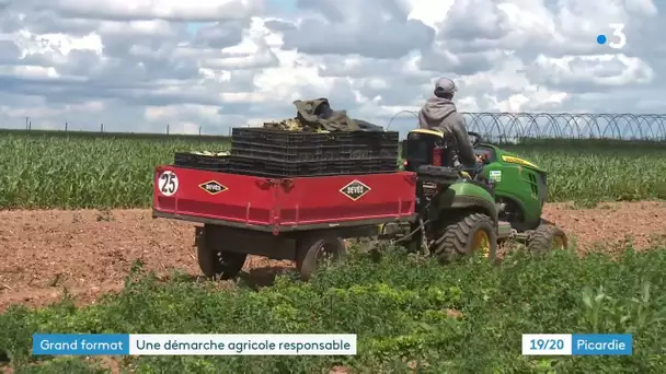 Fruits et légumes d'été : la bataille d'une filière responsable non bio