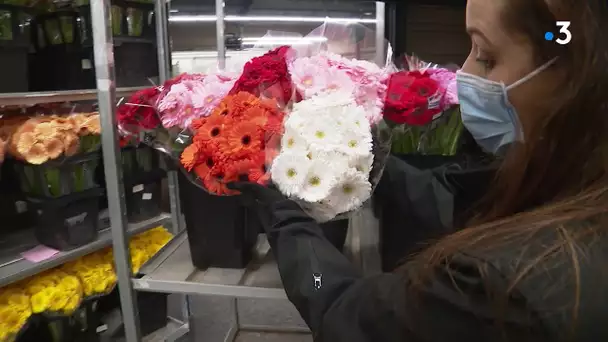 "On ne voit pas le bout du tunnel" : avec le reconfinement, les horticulteurs en grandes difficultés