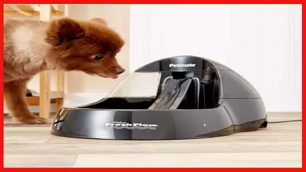 Petmate Deluxe Fresh Flow Dog and Cat Water Fountain 3 Sizes