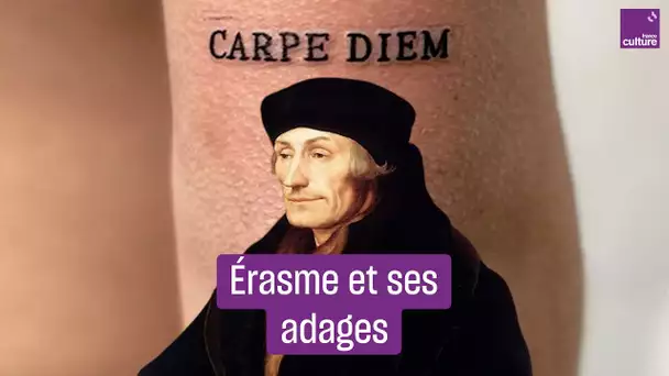 Erasme, le collectionneur d'adages antiques