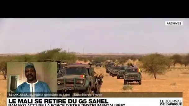 Le Mali se retire du G5 Sahel et dénonce des "manœuvres" d'un État extra-régional • FRANCE 24