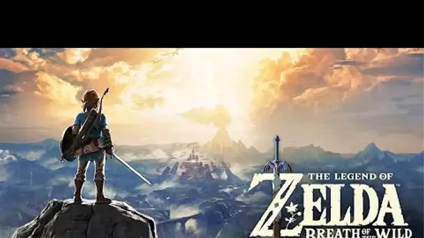 Zelda Breath of the Wild - Début → Cocorico