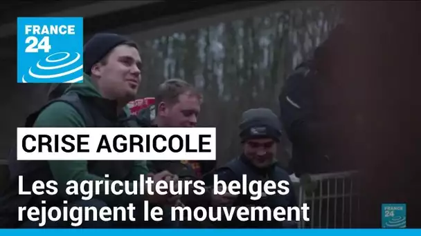 Colère agricole en Europe :  blocages des agriculteurs belges autour de Bruxelles • FRANCE 24