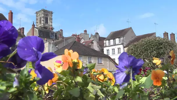 Municipales 2020 : la gauche toujours divisée, le RN en embuscade à Clamecy