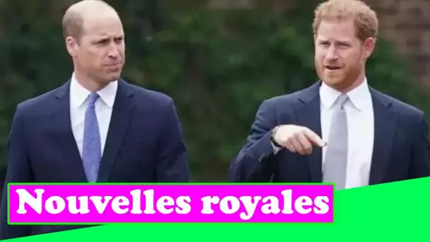 Le prince William "peut trouver impossible" de faire à nouveau confiance au prince Harry - "Toujours