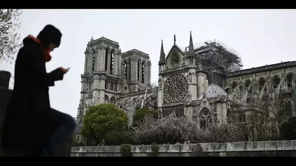 Notre-Dame : la Cour des comptes réclame la "transparence" dans la gestion des dons