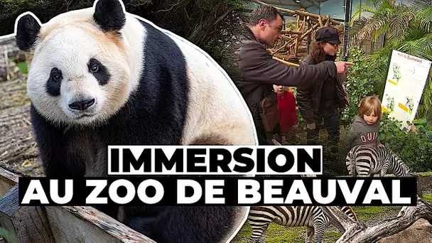 Parcs animaliers, un business en or