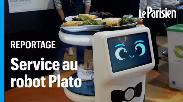 Plato, le robot qui sert les plats au restaurant