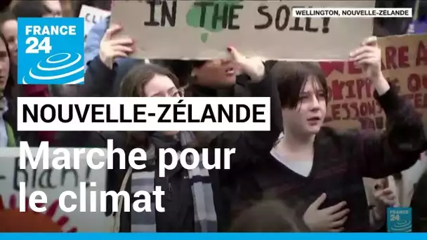 Retour de la marche pour le climat : en Nouvelle-Zélande, la jeunesse réclame un avenir