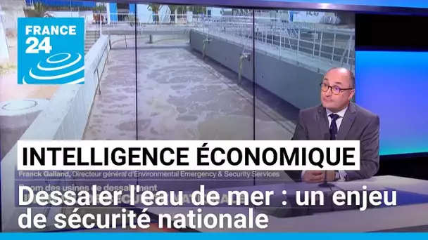 Usines de dessalement d'eau de mer : un enjeu de sécurité nationale • FRANCE 24