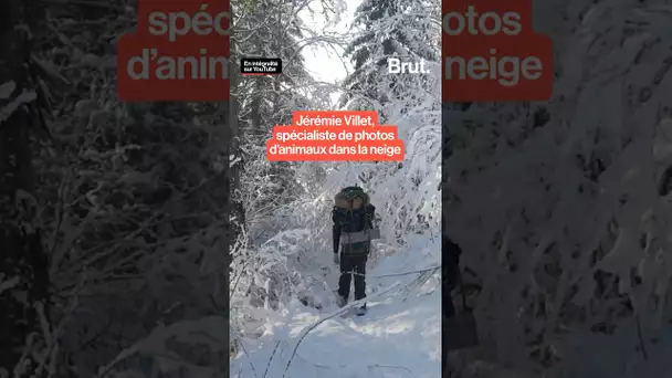 Dormir par -15 °C dans la neige pour pister le roi de la montagne.