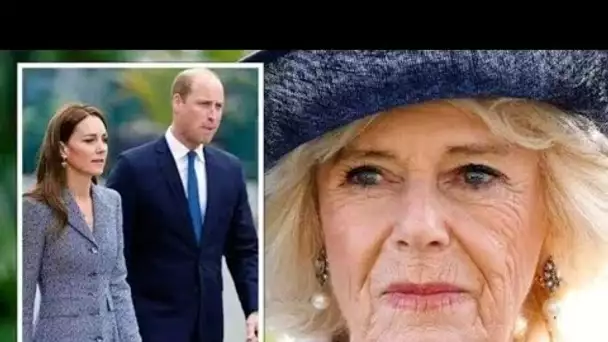 Camilla était « derrière » la séparation de Kate et William après l’avoir jugée « indigne de la roya